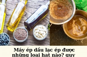 Máy ép dầu lạc ép được những loại hạt nào? quy trình ép đơn giản