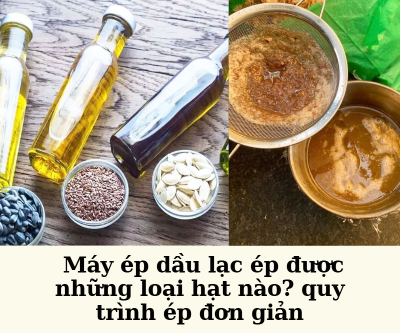 Máy ép dầu lạc ép được những loại hạt nào? quy trình ép đơn giản