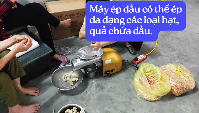 Giải đáp máy ép dầu ép được những loại hạt nào?