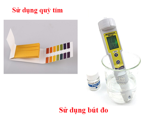 Sử dụng quỳ tím hoặc bút đo pH để xác định chỉ số pH nước