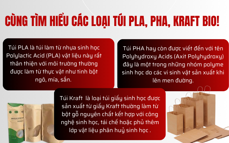Cùng tìm hiểu các loại túi PLA, PHA, Kraft bio!