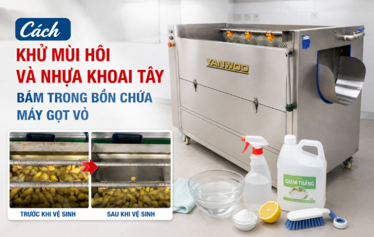 Cách khử mùi hôi và nhựa khoai tây bám trong bồn chứa máy gọt vỏ