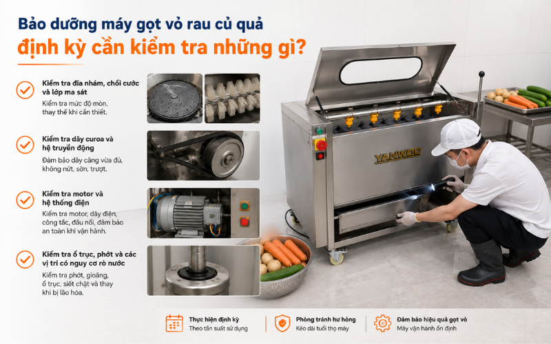 Bảo dưỡng máy gọt vỏ rau củ quả định kỳ cần kiểm tra những gì
