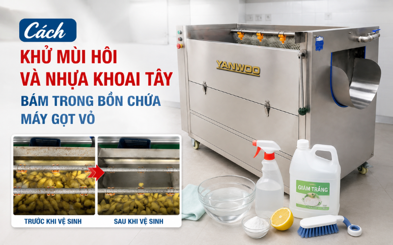 Cách khử mùi hôi và nhựa khoai tây bám trong bồn chứa máy gọt vỏ