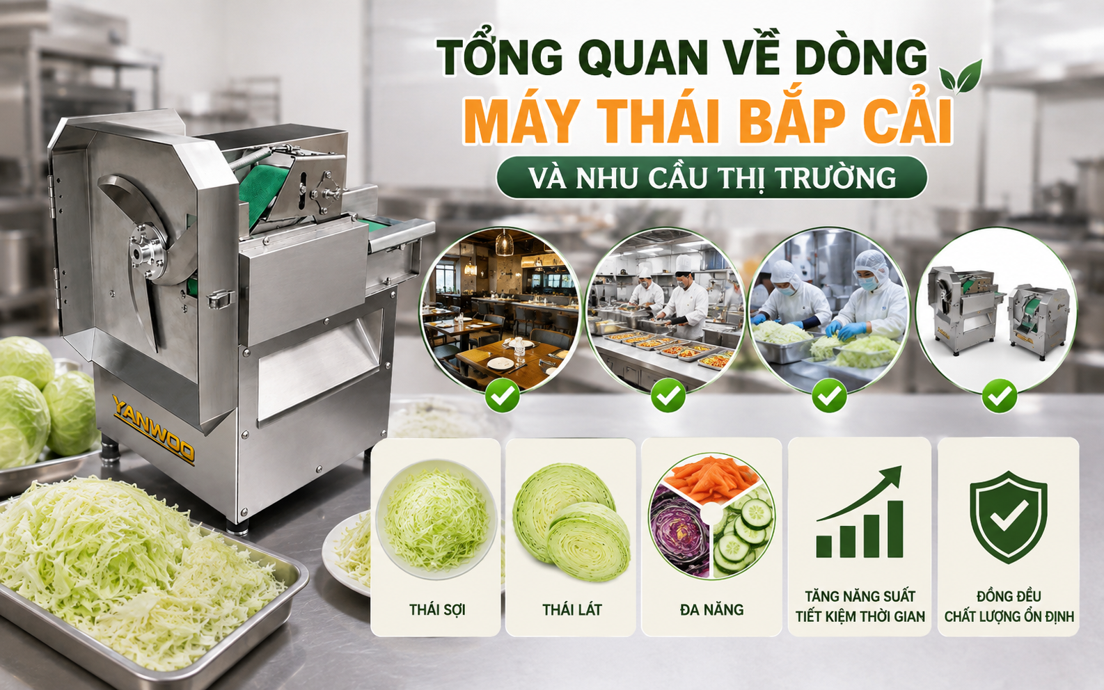 Tổng quan về dòng máy thái bắp cải và nhu cầu thị trường