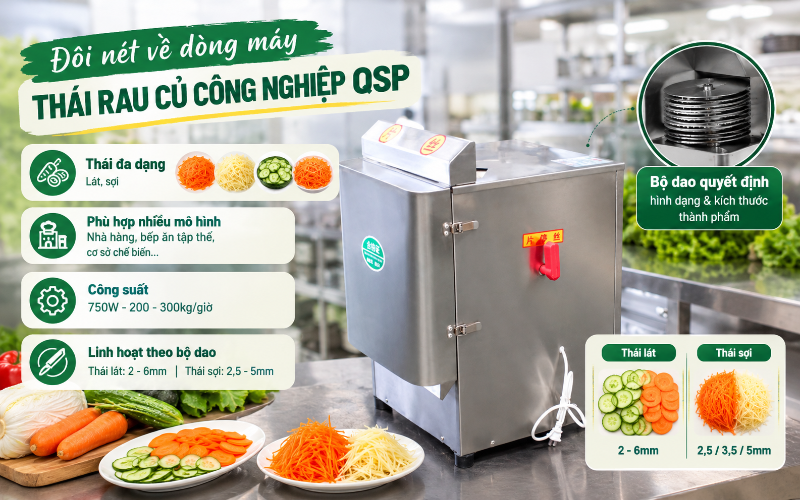 Đôi nét về dòng máy thái rau củ công nghiệp QSP