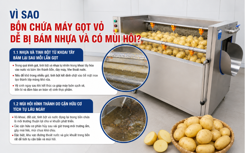 Vì sao bồn chứa máy gọt vỏ dễ bị bám nhựa và có mùi hôi