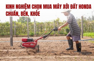 Kinh nghiệm chọn mua máy xới đất Honda chuẩn, bền, khỏe