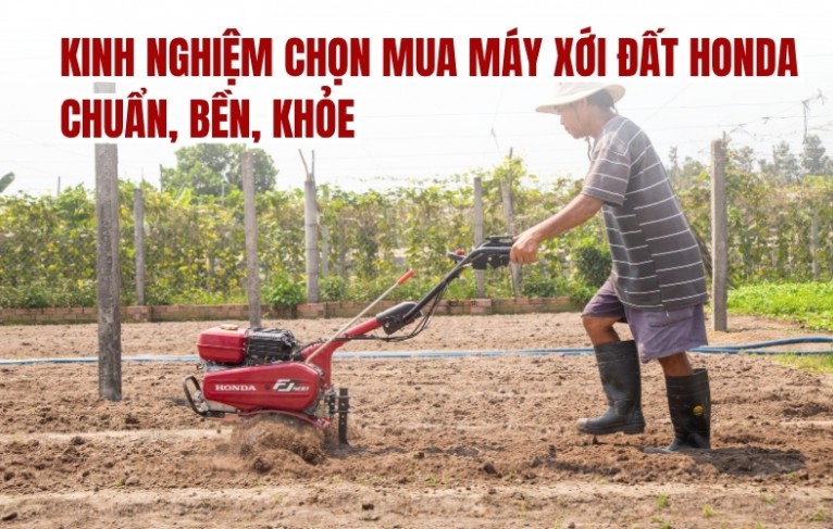 Kinh nghiệm chọn mua máy xới đất Honda chuẩn, bền, khỏe