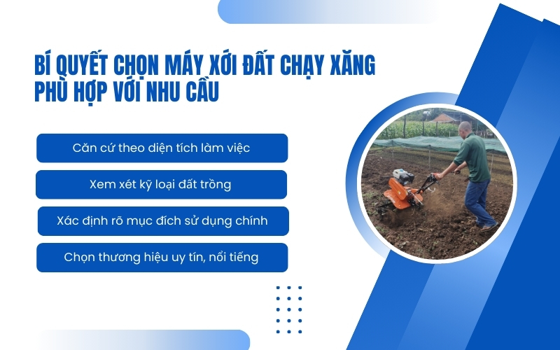Bí quyết chọn máy xới đất chạy xăng phù hợp với nhu cầu