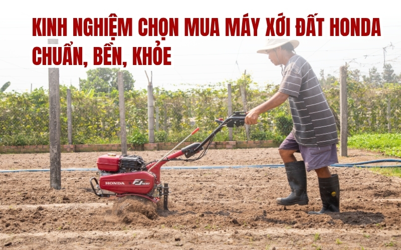 Kinh nghiệm chọn mua máy xới đất Honda chuẩn, bền, khỏe